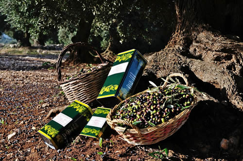 Olio extra vergine d’oliva Masseria Spetterrata