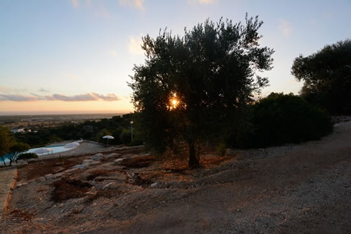 The Agriturismo Masseria Spetterrata swimming pool