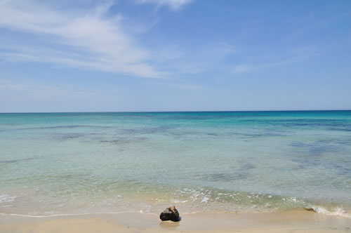 The nature reserve of Torre Guaceto