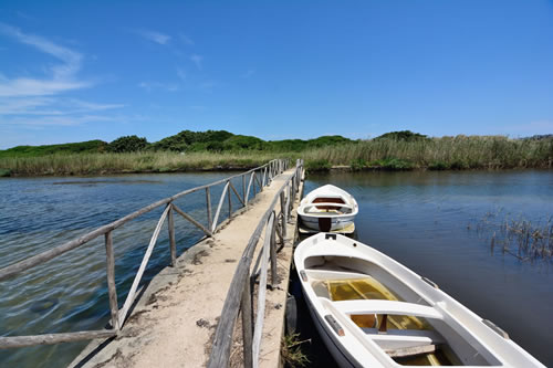 The Park of coastal dunes Torre Canne - Torre San Leonardo