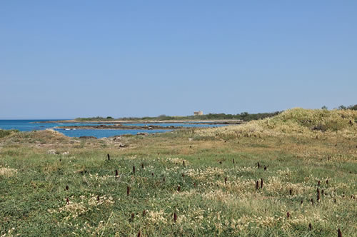 The nature reserve of Torre Guaceto