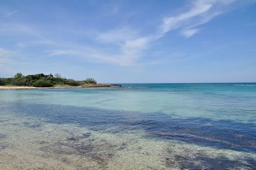 The nature reserve of Torre Guaceto