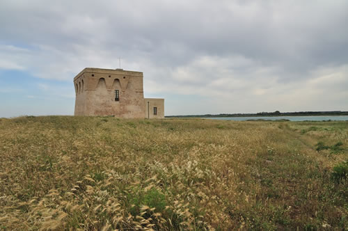 The nature reserve of Torre Guaceto