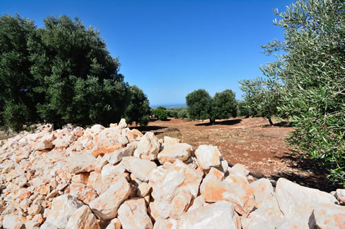 Ostuni