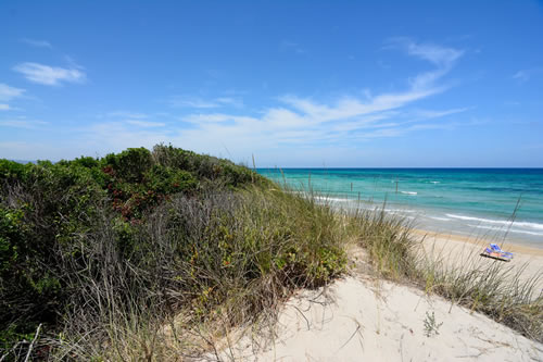 The Park of coastal dunes Torre Canne - Torre San Leonardo