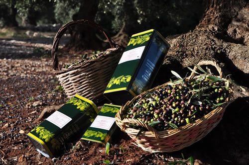 Olio extra vergine d’oliva - Agriturismo Masseria Spetterrata