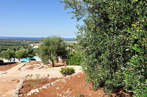 Il mare dall’Agriturismo Masseria Spetterrata